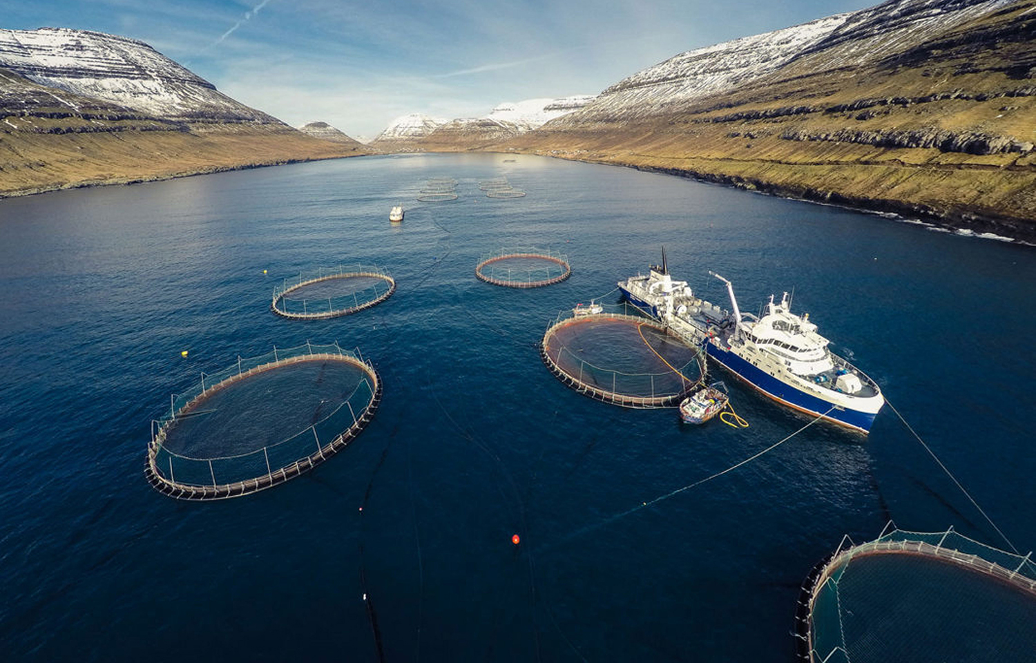 A set of net pens operated by Bakkafrost in a fjord.
