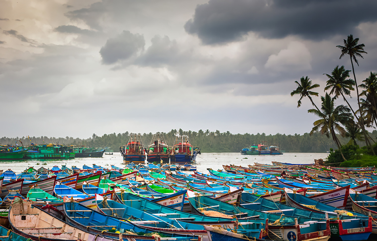 India proposes record fisheries budget to lift output, exports after big EU, US deals
