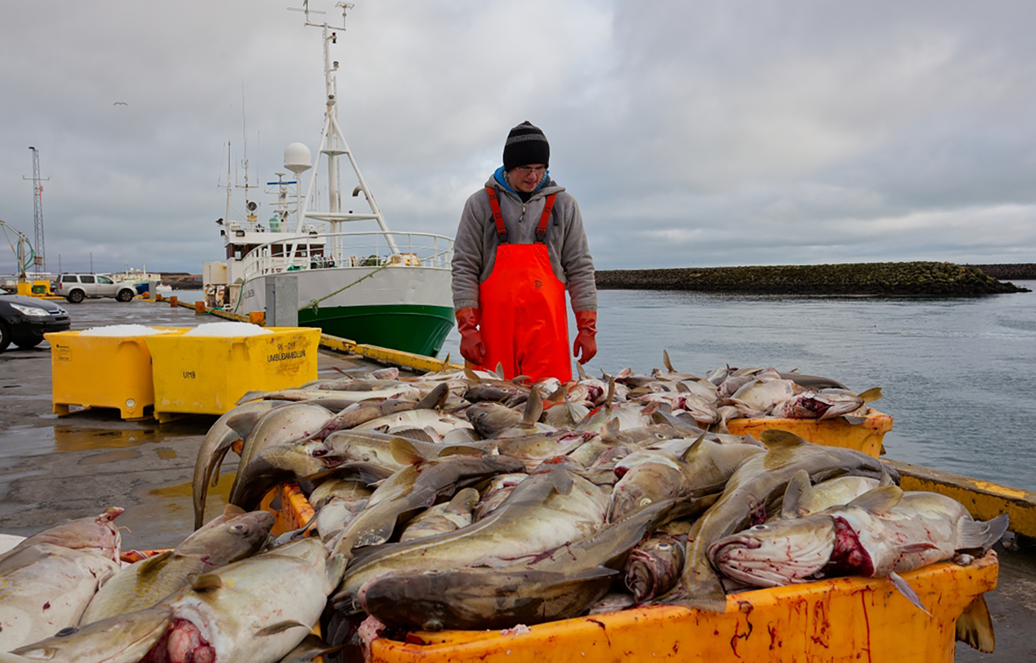 Fisheries reps warn against Iceland pursuing EU membership