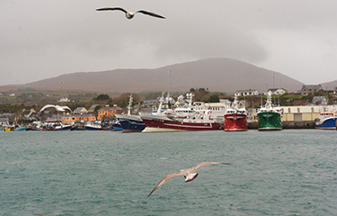 Irish fishing vessels in port.