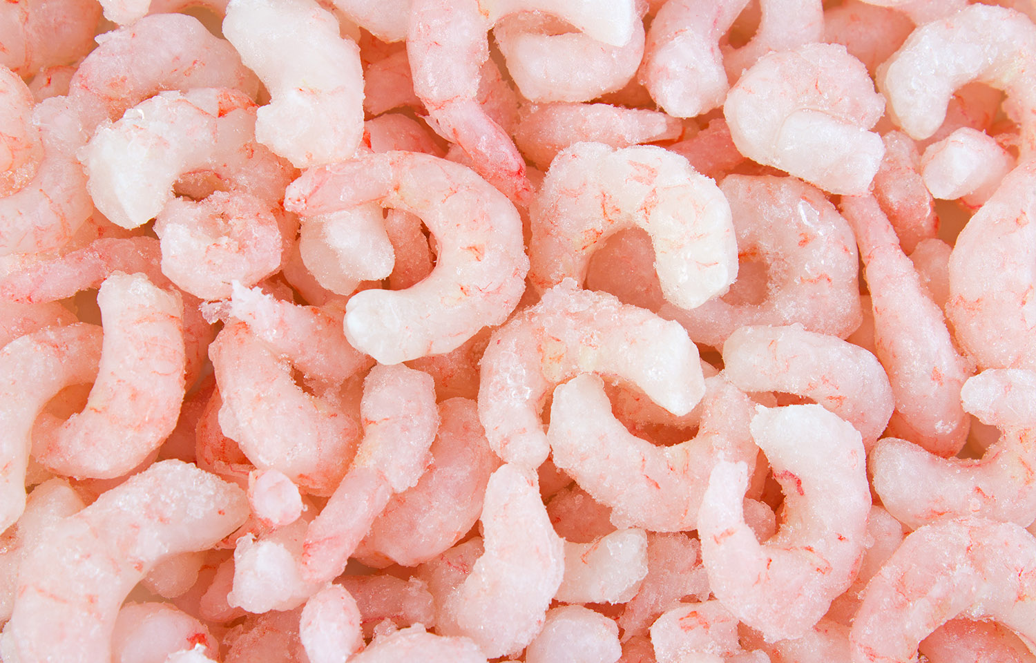 frozen shrimp