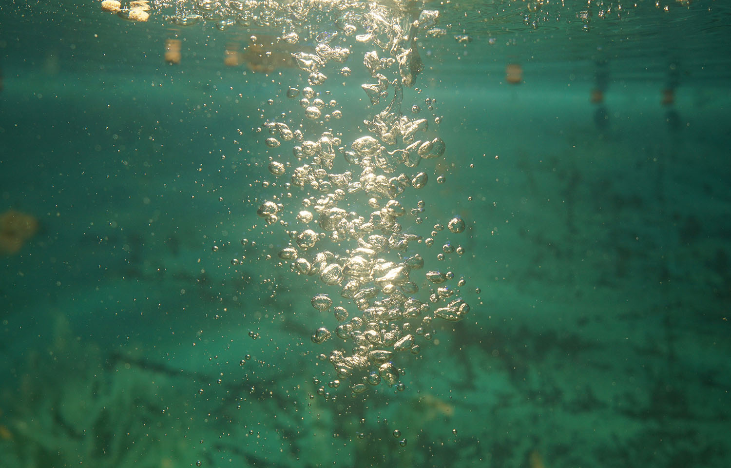 Bubbles floating underwater