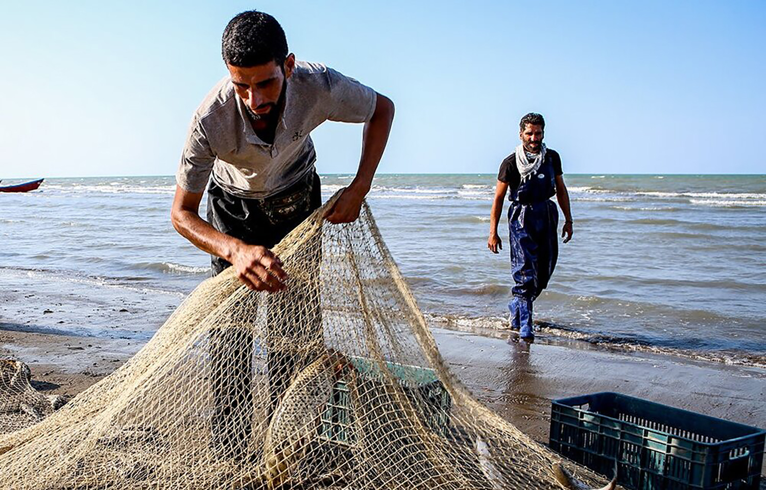 Iranian fishers hauling in their catch