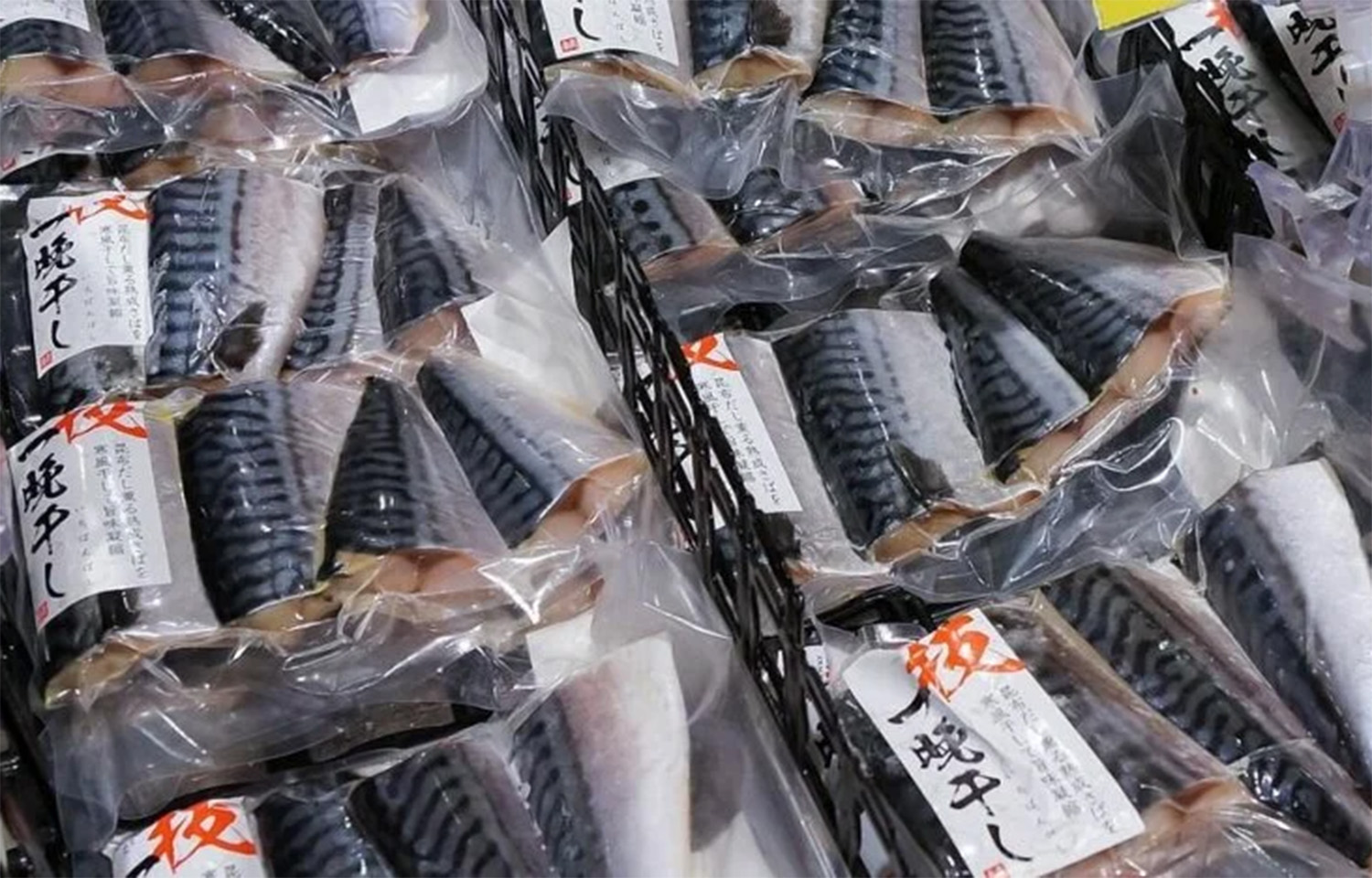 Chunks of packaged Norwegian mackerel destined for sale in Japan