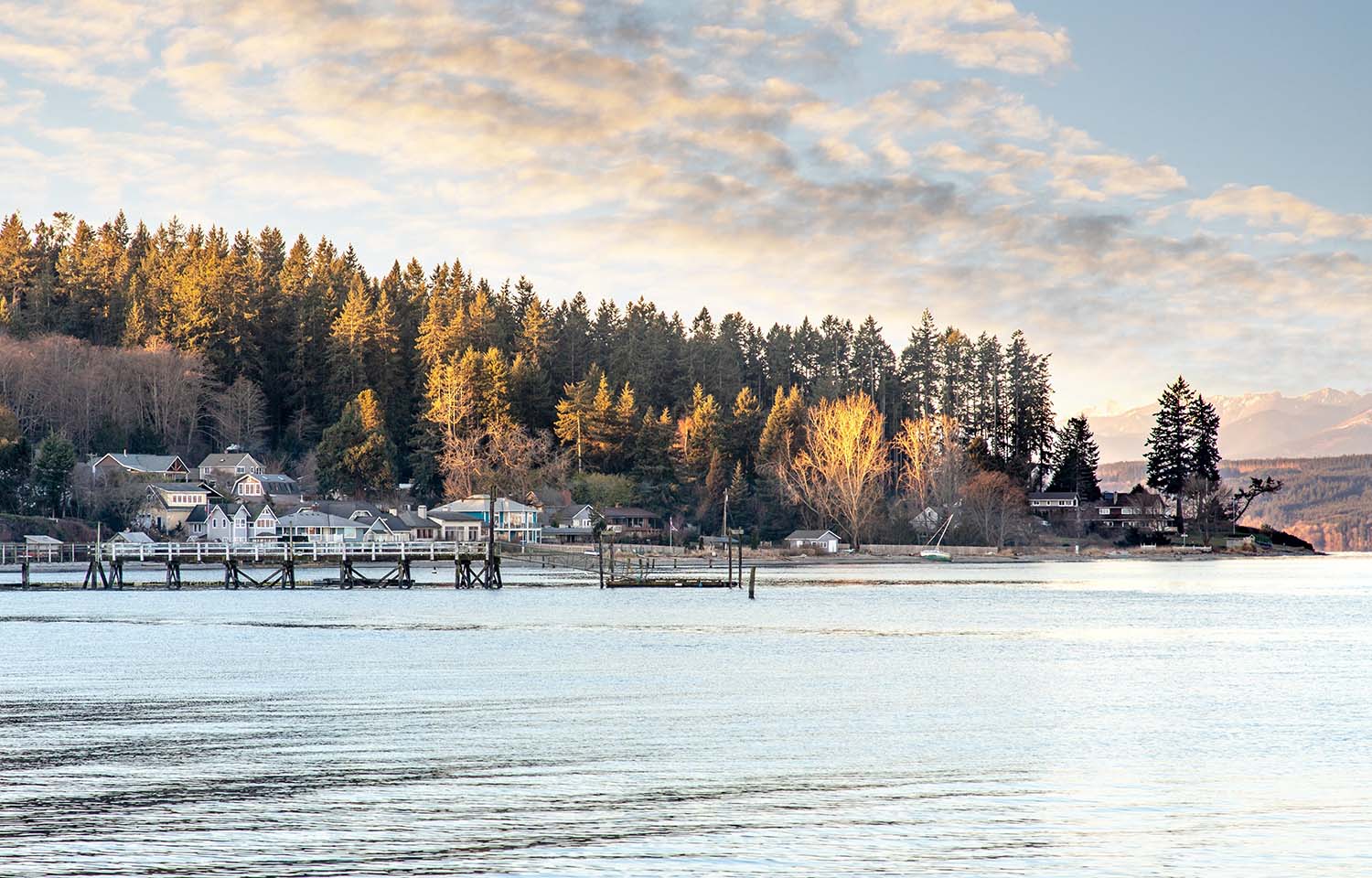 Washington's Hood Bay