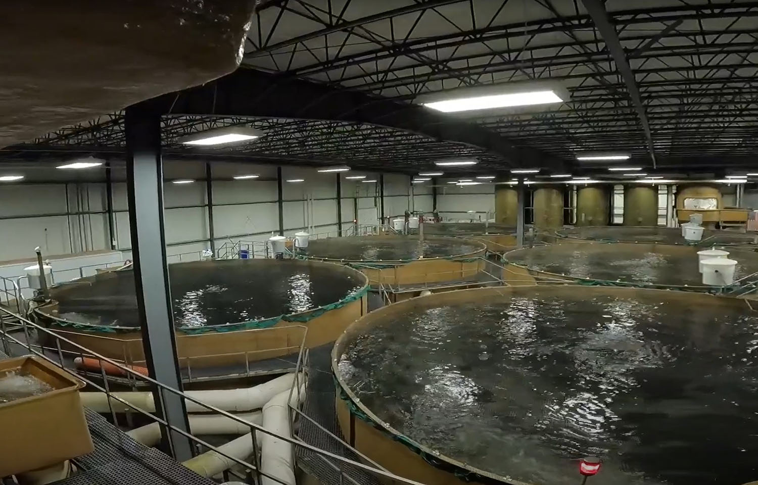 The inside of AquaBounty's Indiana-based RAS facility