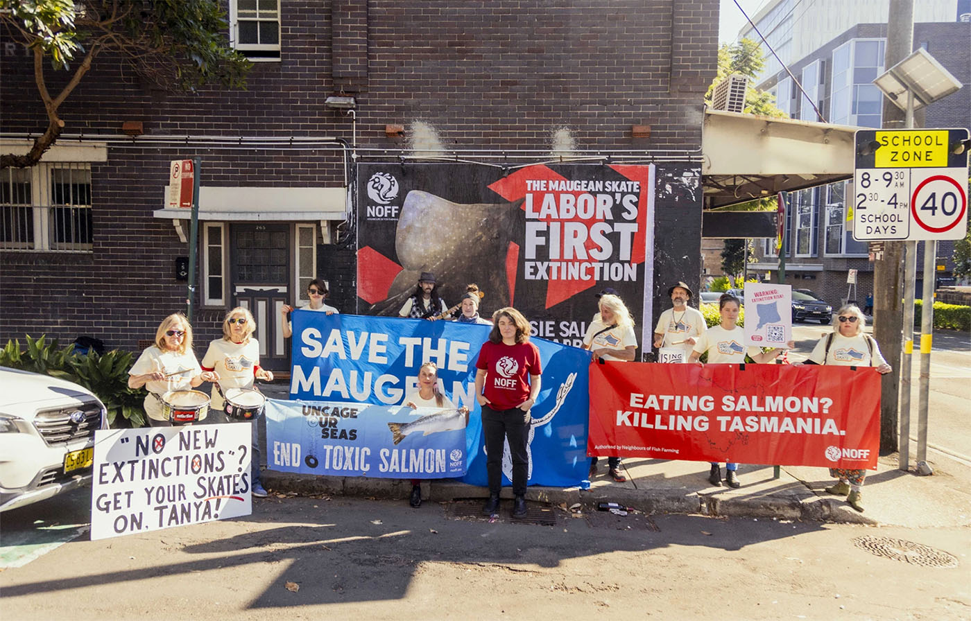 A group of protesters with signs to save the Maugean skate