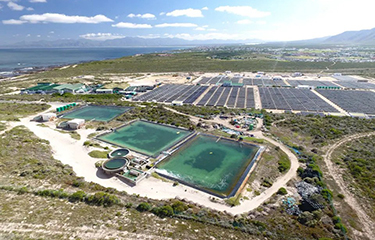 An Aqunion aquaculture setup in South Africa