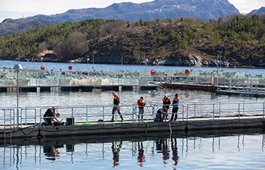 Tidal employees working at a Mowi net pen to test new AI-powered technology.
