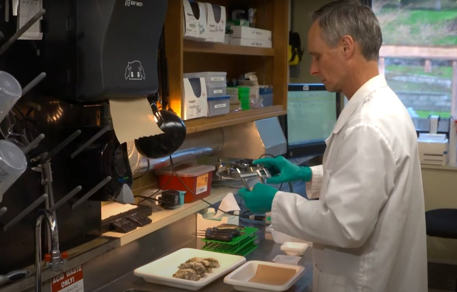 A scientist inspecting oyster samples inside a laboratory