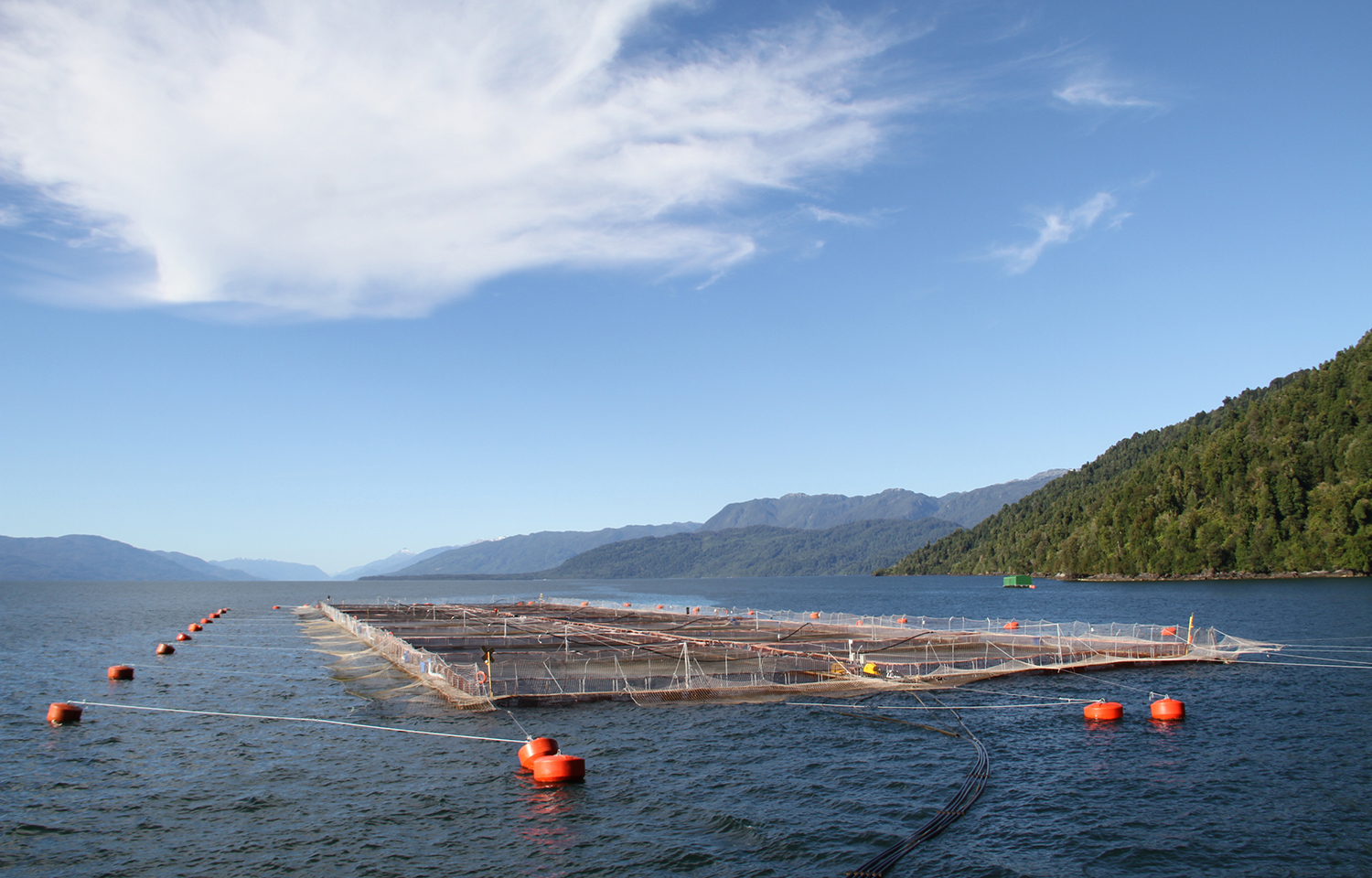 A salmon farm in Chile