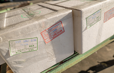 A box of clams being imported to China