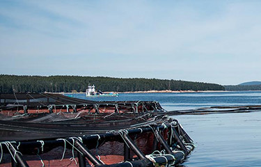 A Cooke Aquaculture facility in Puget Sound, Washington.