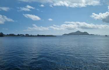 Sustainable Fisheries Partnership (SFP) has announced a new partnership with the Thai Union Group.