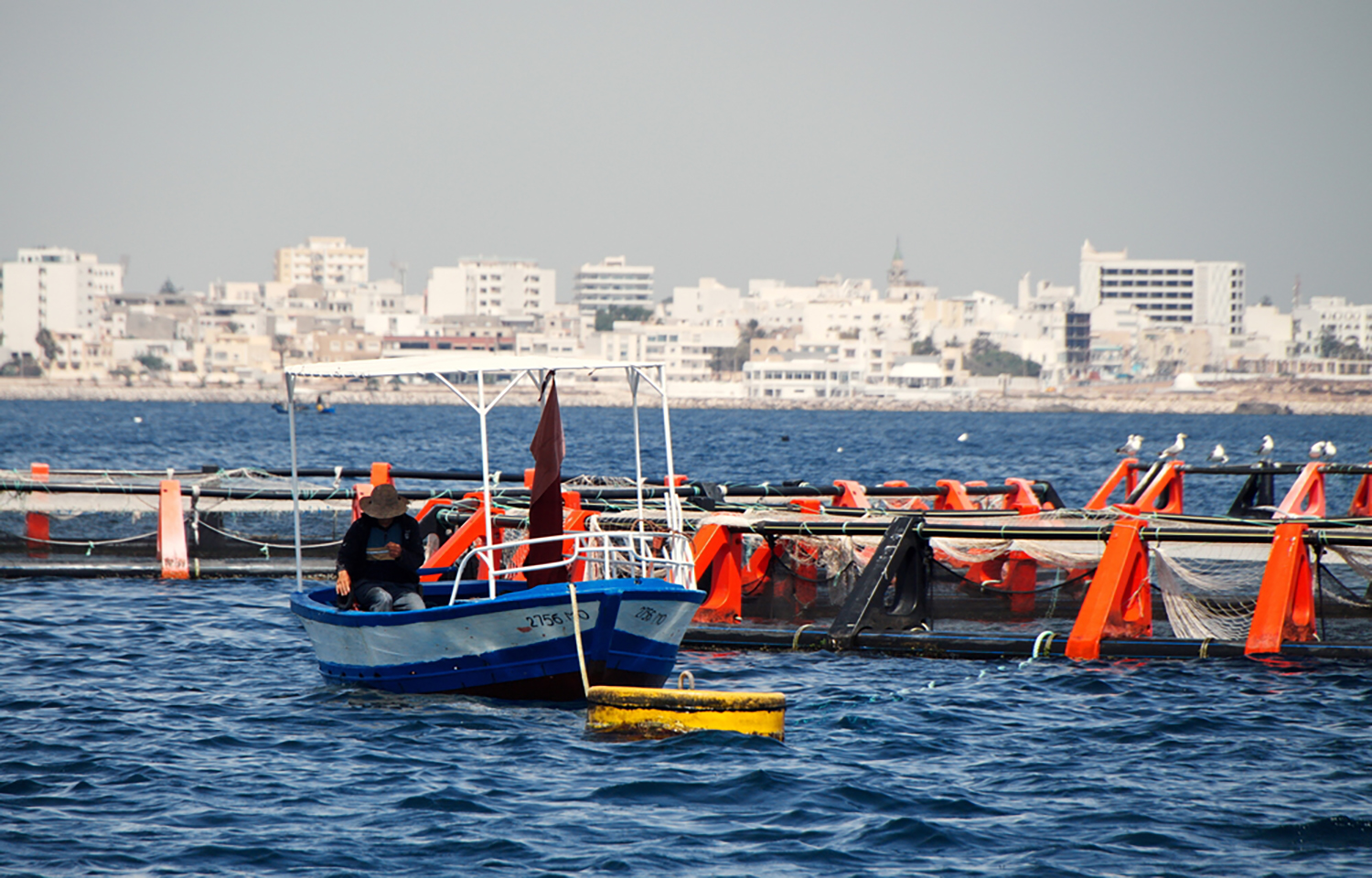 A fish farm off of the Tunisian coast