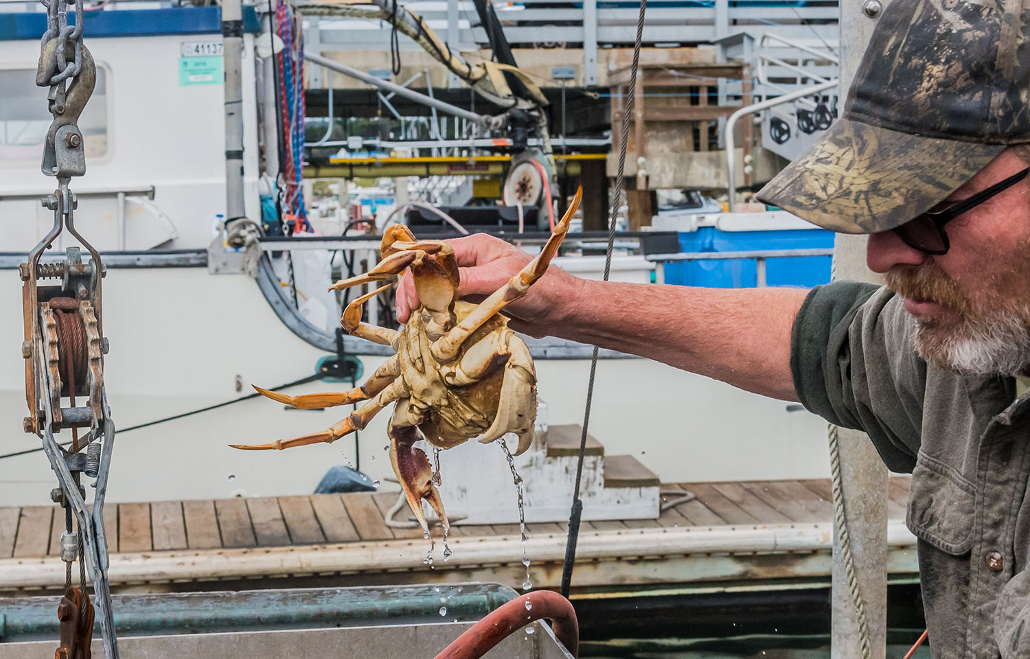 Fishermen selling fresh live Dungeness crab in Half Moon Bay, California