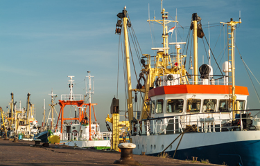 A debate has arisen over whether and how the European Union should respond to numerous crises facing its fishing fleet.