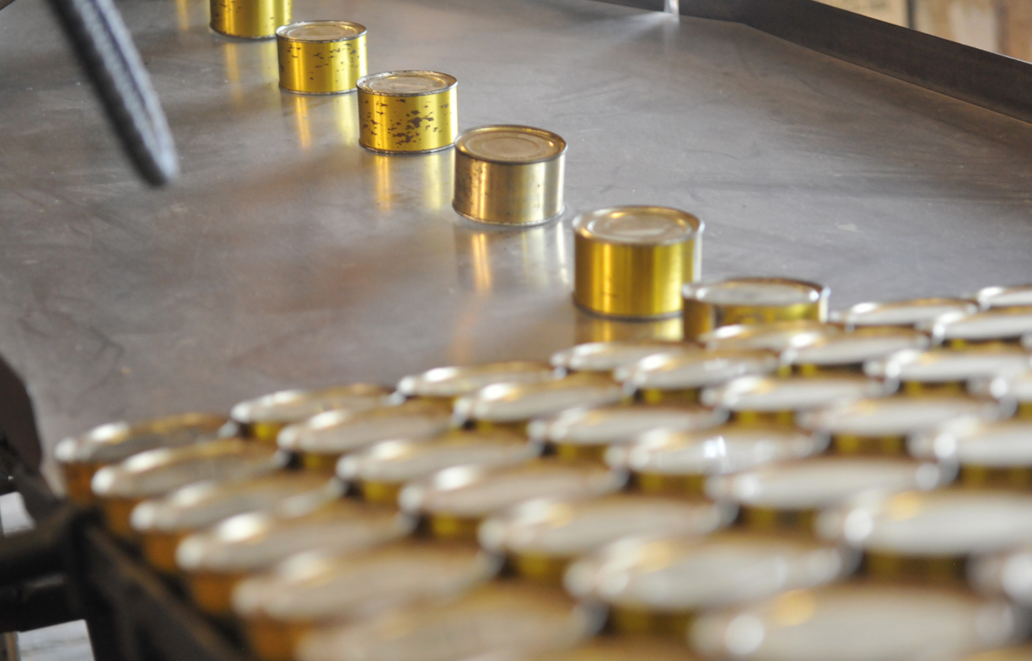 A photo of canned salmon