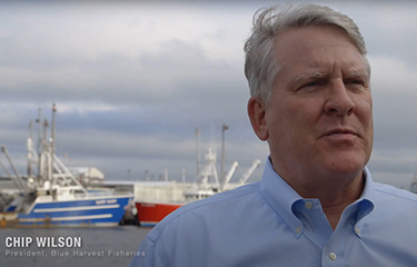 Blue Harvest President Chip Wilson