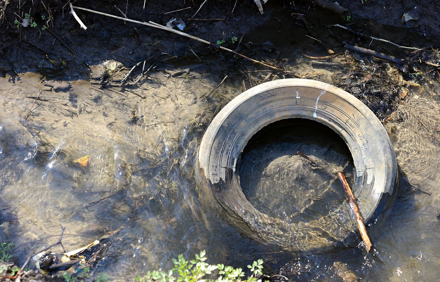A tire in water
