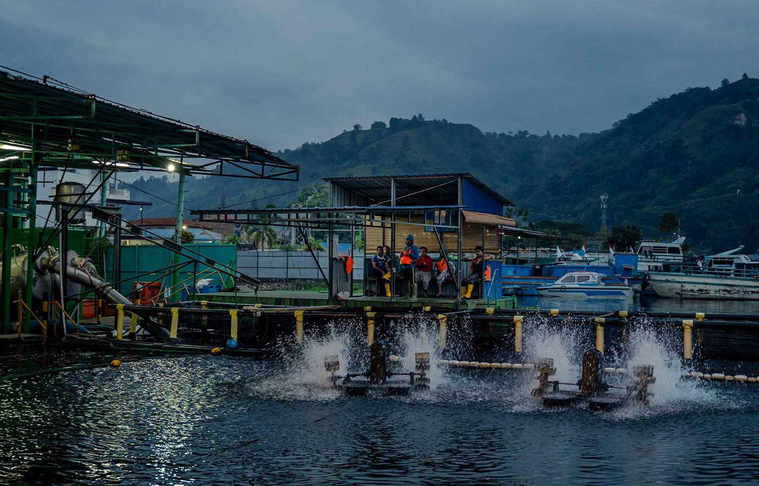 A Regal Springs farm