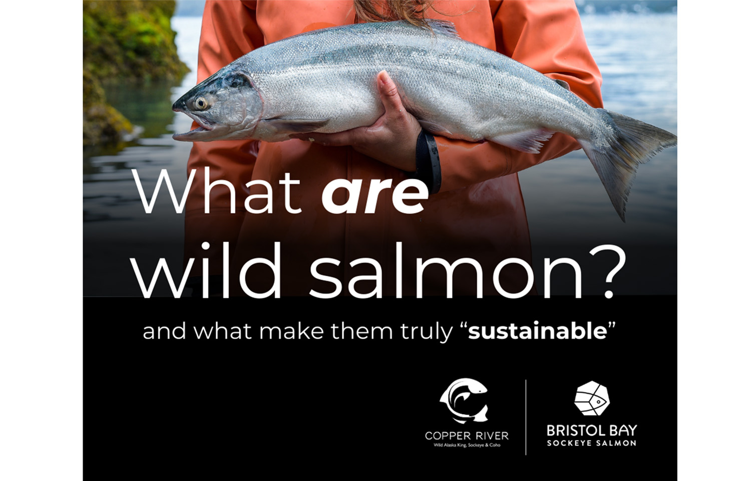 The Bristol Bay Regional Seafood Development Association and the Copper River Prince William Sound Regional Seafood Development Association