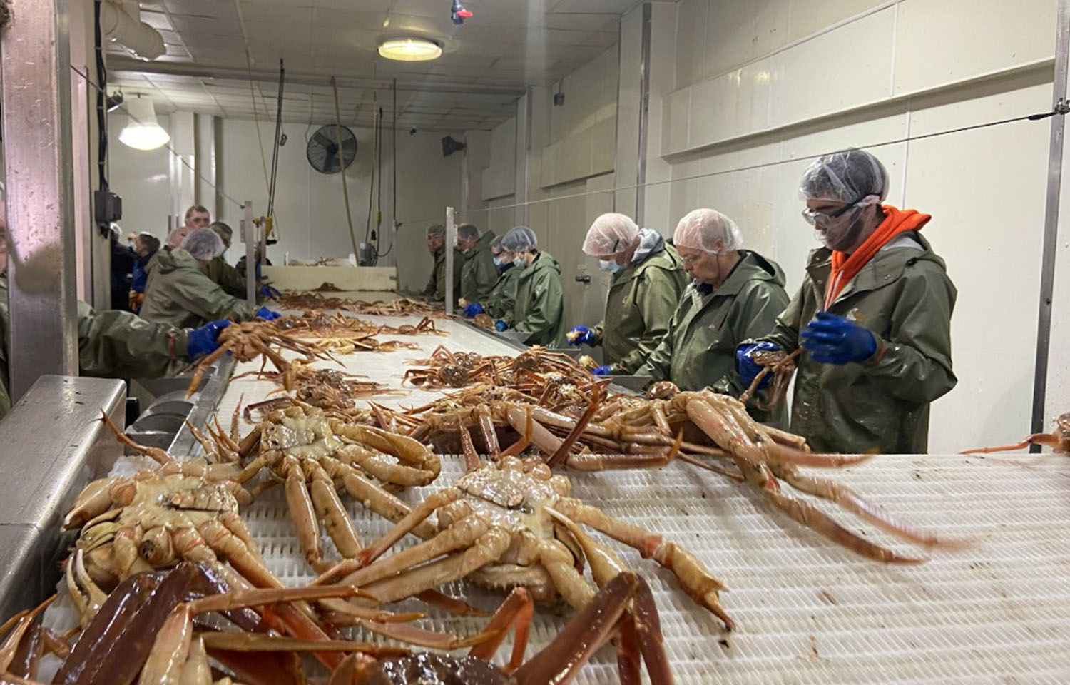 Processing plant workers at Ocean Choice International