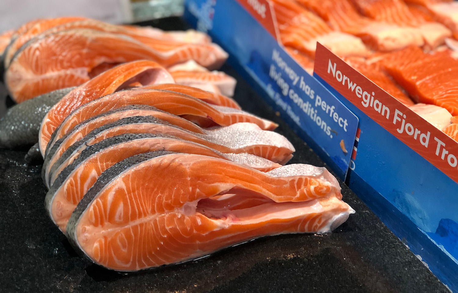 Norwegian trout for sale in Malaysia