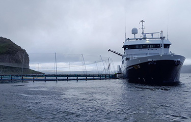A fishing vessel delivering salmon to a net pen at Loch Hourt salmon farm.