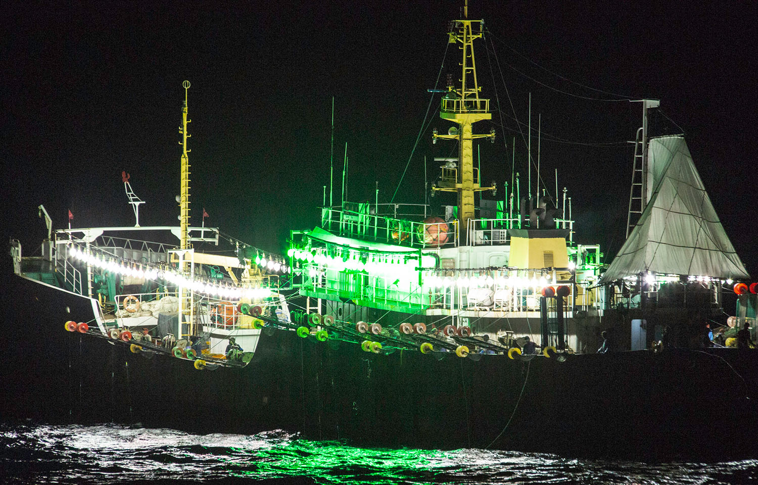 A Chinese squid-jigger