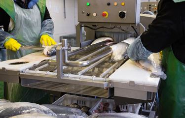 China threatened by Russian pollock processing capacity coming online ...