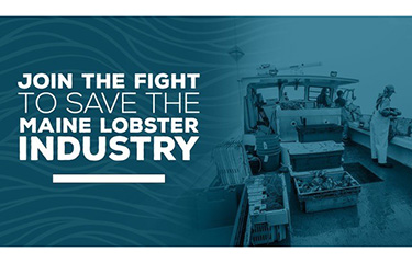 A graphic urging consumers to help save the Maine lobster industry.