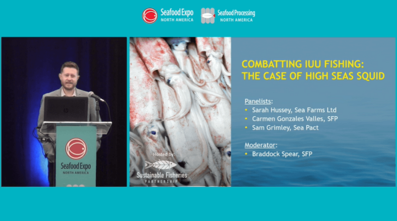 Combatting IUU Fishing: The Case Of High Seas Squid | SeafoodSource