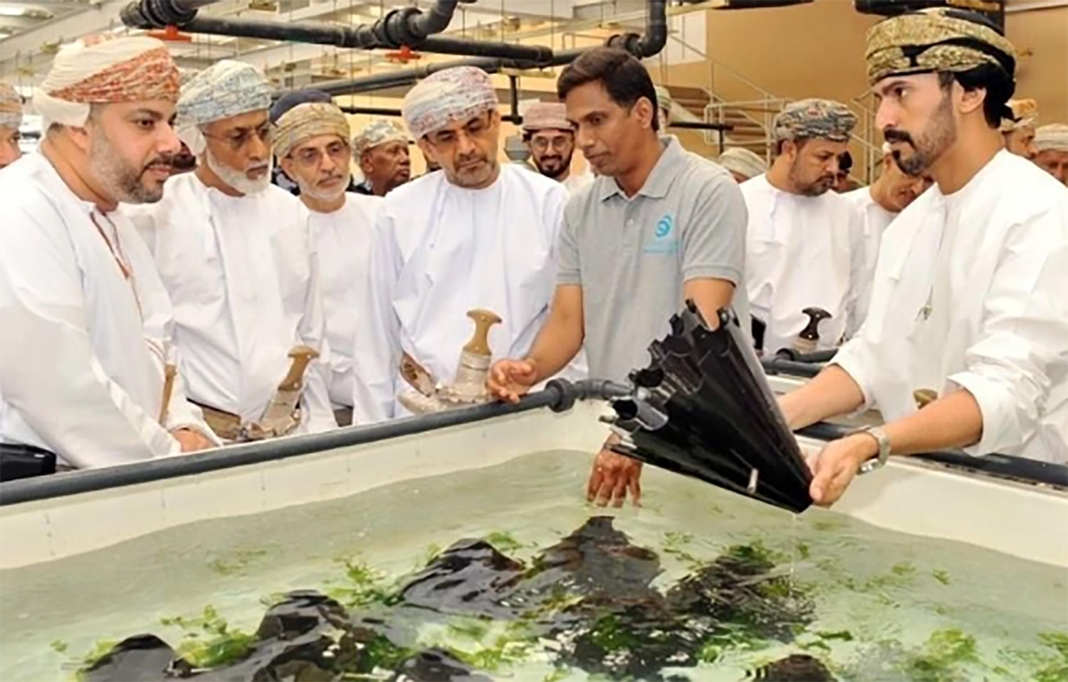 Staff of Oman Aquaculture Co. showcasing the firm's abalone-farming operations
