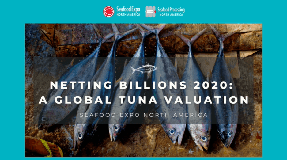 Netting Billions 2020 Presentation