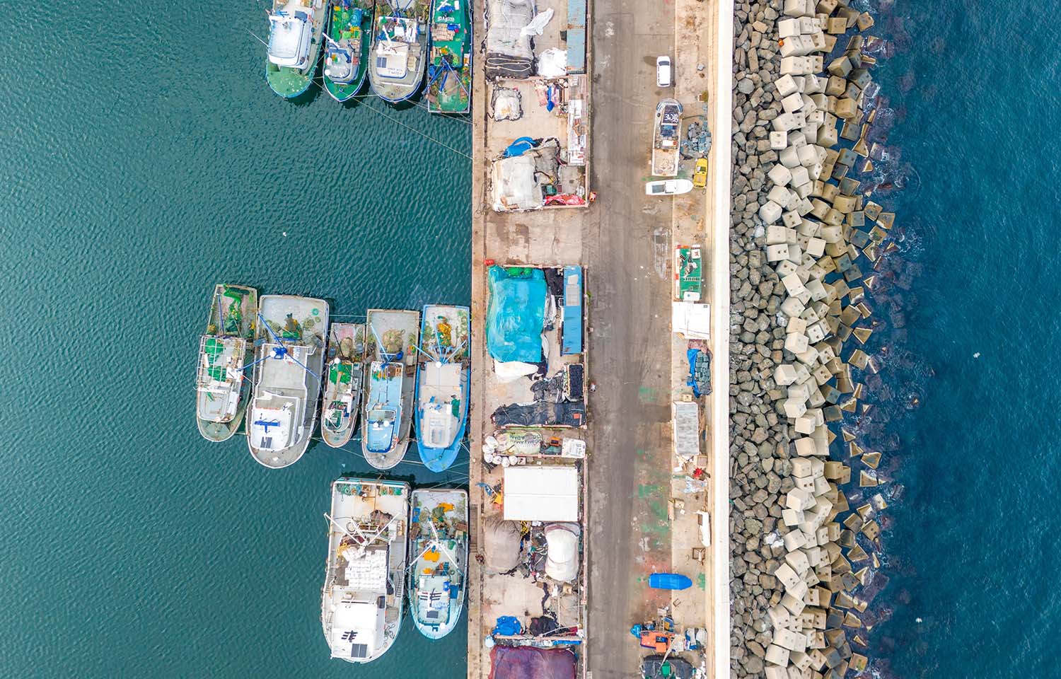 Boats in harbor