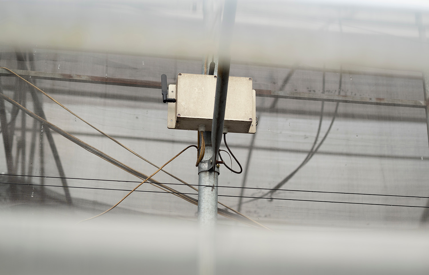 A piece of aquaculture technology.