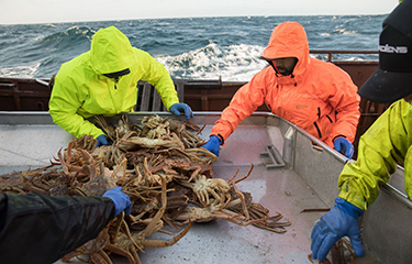 Difficult future ahead for Alaska's crab industry