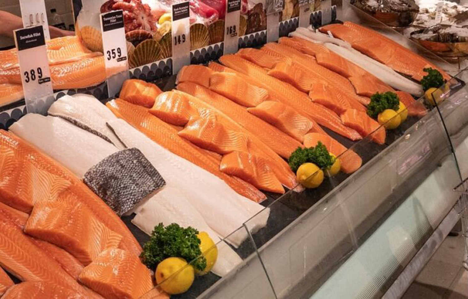 A selection of salmon at a supermarket