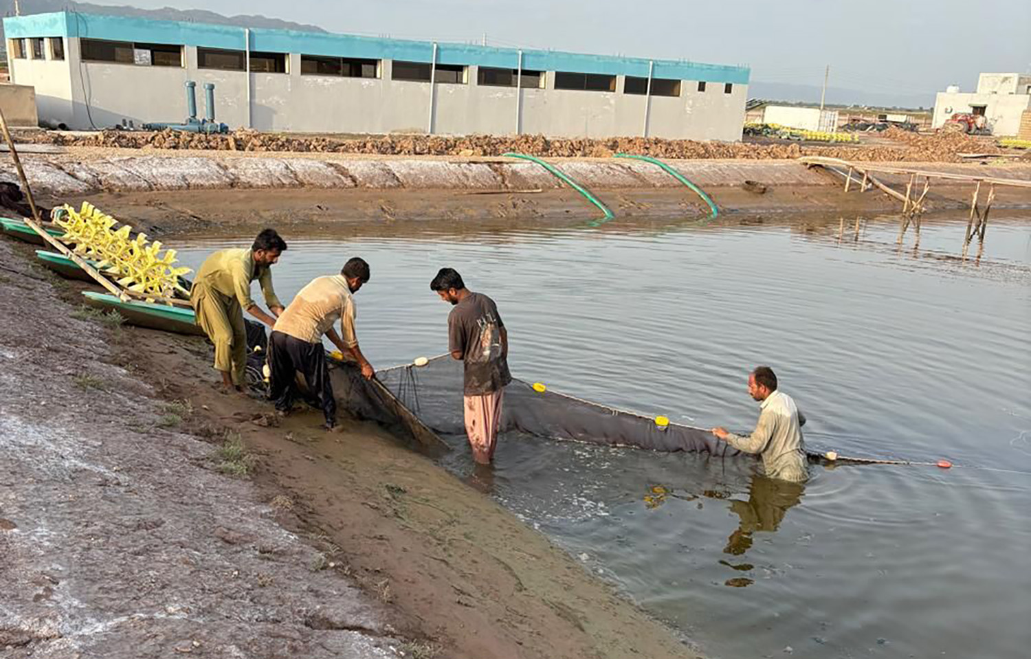 Pakistan’s Punjab province rolls out major aquaculture initiative to bolster shrimp exports