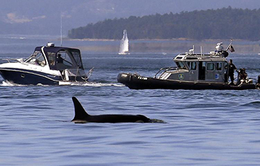NOAA Fisheries law enforcement plans on subscribing to commercial database