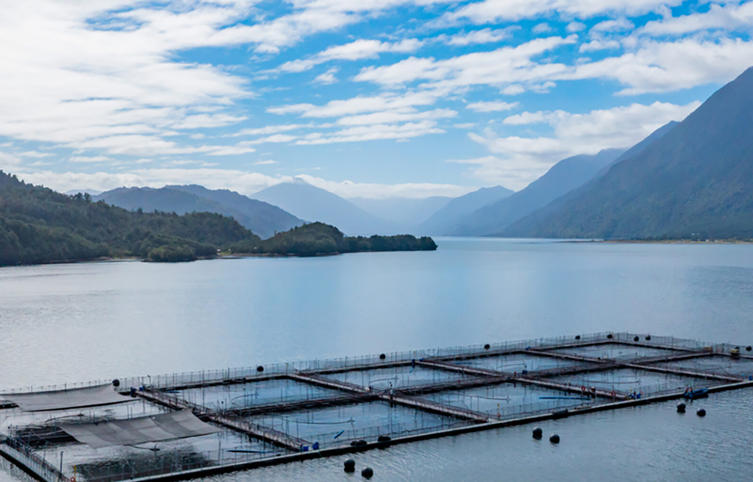 Ventisqueros turns to biofuel for international shipments