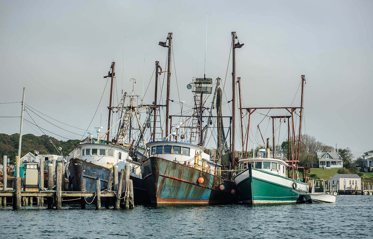 Amendment 25 has proven unpopular with the commercial fishing sector, which claims the new plan would hurt fishers.