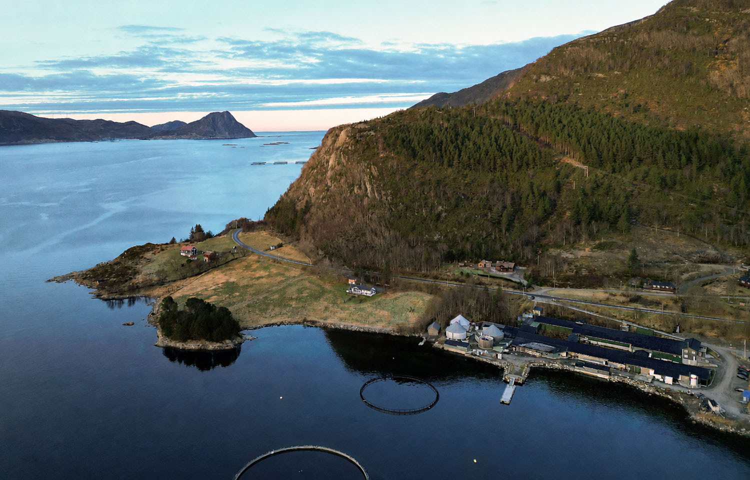 Ode acquires Mowi ballan wrasse facility in Vanylven, Norway