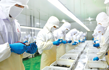 Zoneco Aquatic, once the most valuable seafood firm listed firm in China, has been ordered to sell 110 million shares held by its main shareholder.