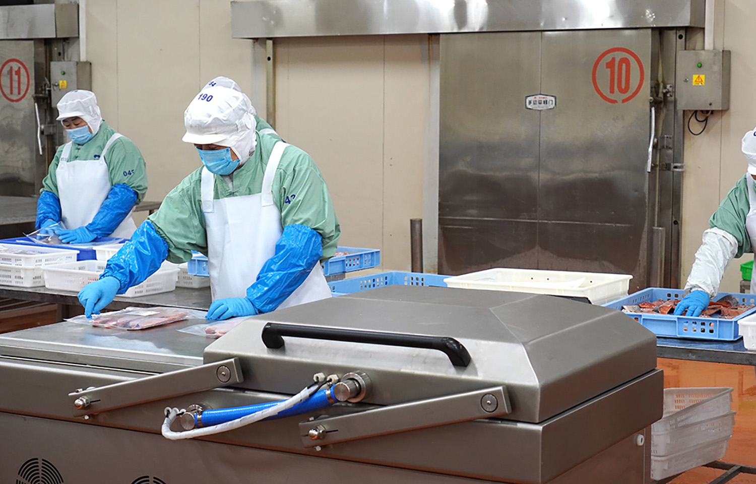 A Chinese fish-processing factory