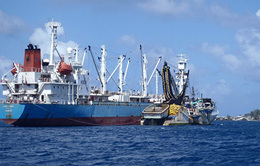 Tuna being transshipped in Majuro, Marshall Islands.