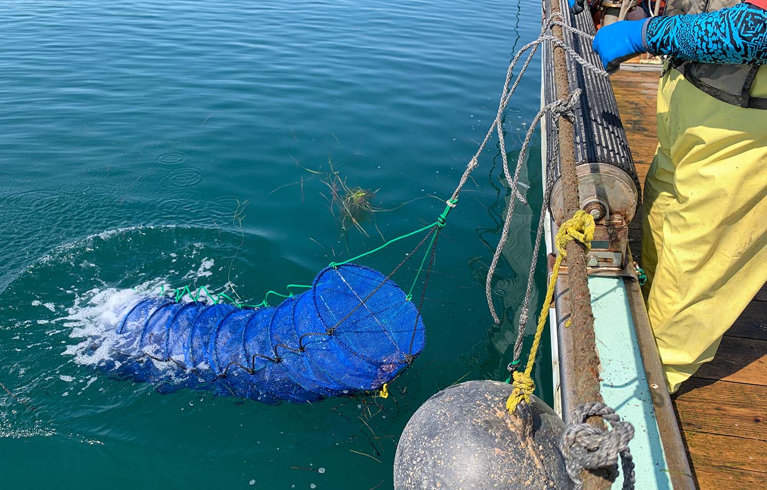 Japan resumes shipping seafood to China