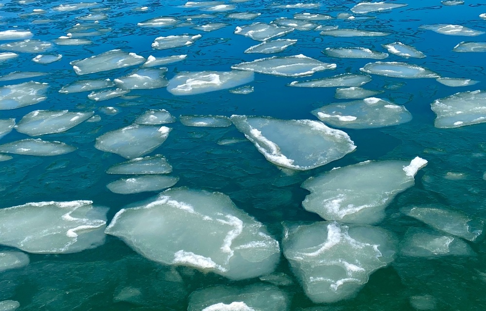 Maryland governor, congressional delegation request disaster designation for oystermen following icy conditions, sewage spill