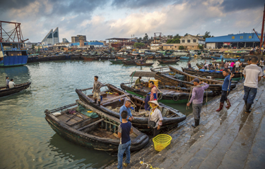 Explore SONG Fish's Fishery Port Warehouse for Chinese New Year